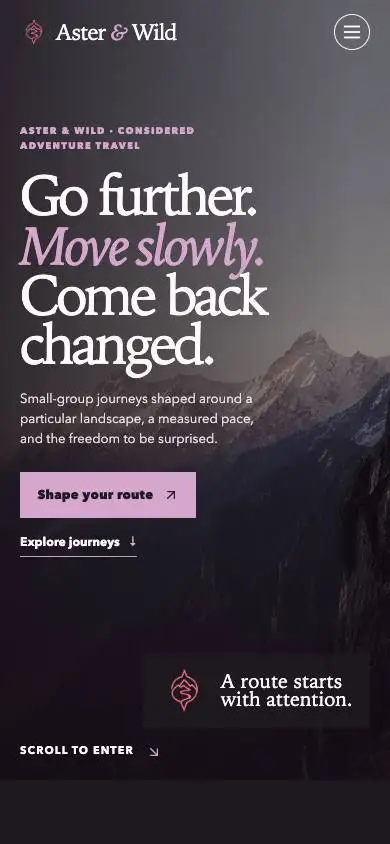 Aster & Wild — Adventure Tour Operator mobile website preview