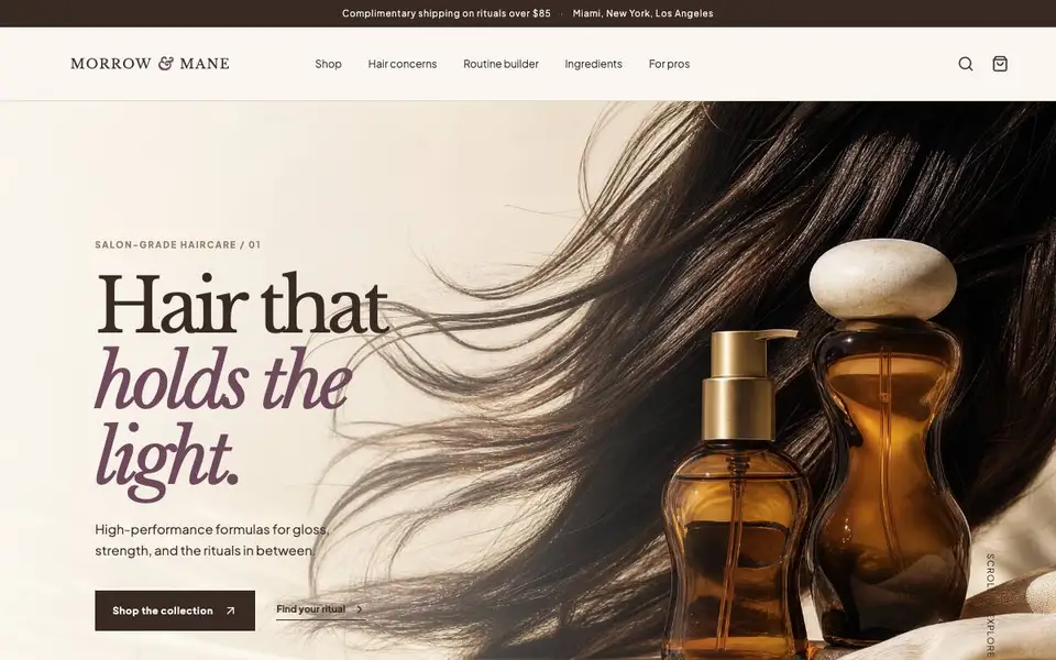Bt L05 Premium Haircare website screenshot