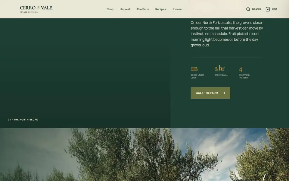 Cerro & Vale — Estate Olive Oil interior page and content preview