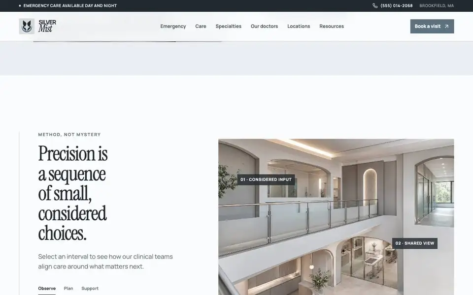 Silver Mist Veterinary Clinic interior page and content preview