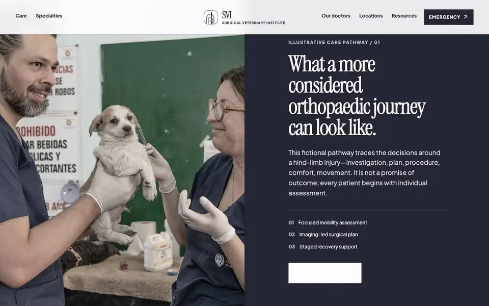 Surgical Veterinary Institute interior page and content preview